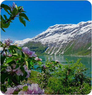 Spring